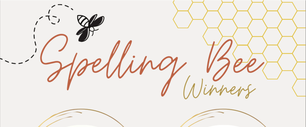 The text reads "Spelling Bee Winners" in a looping script with a little bee floating past the words, which are also framed by a honeycomb pattern.
